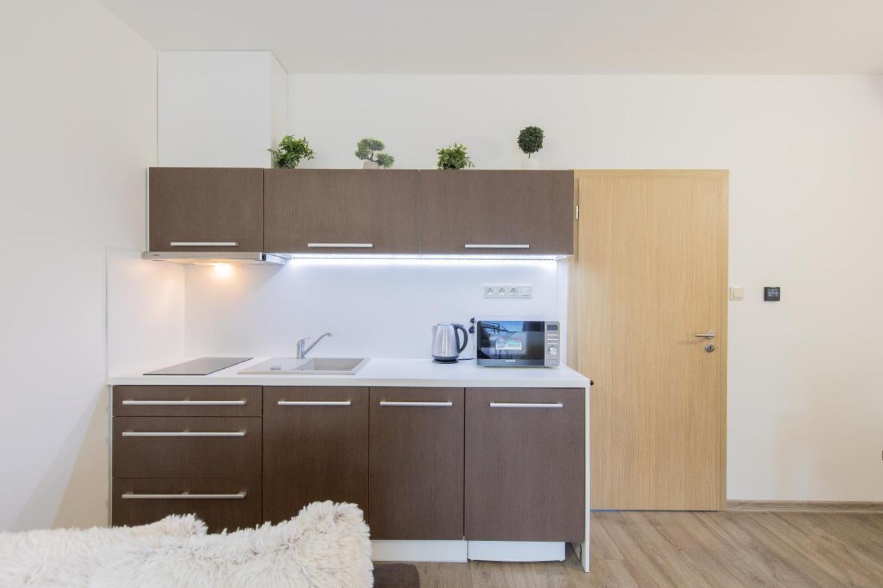 Apartman Sophia 4 S Terasou Velké Losiny Eksteriør billede